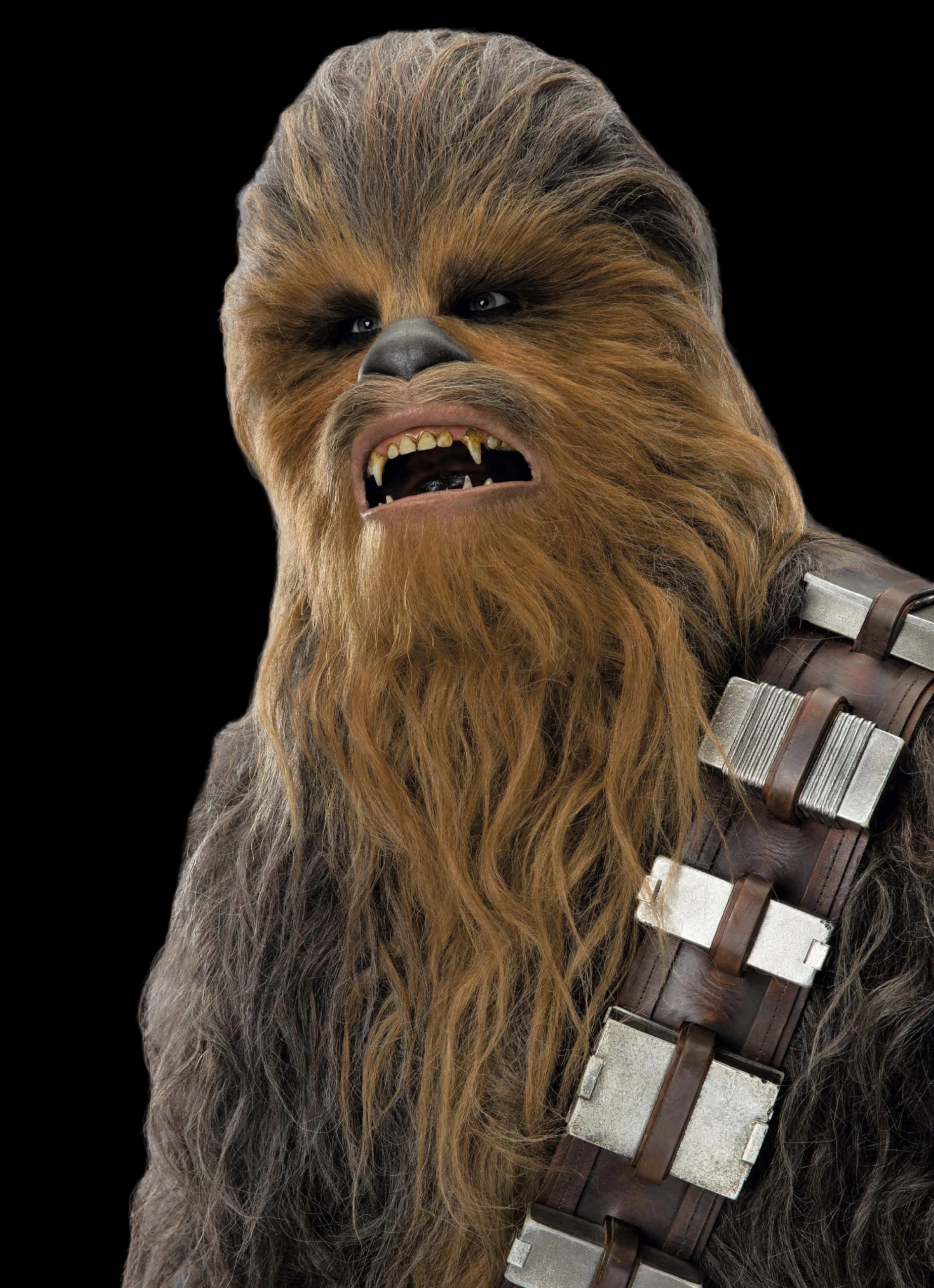 Chewbacca